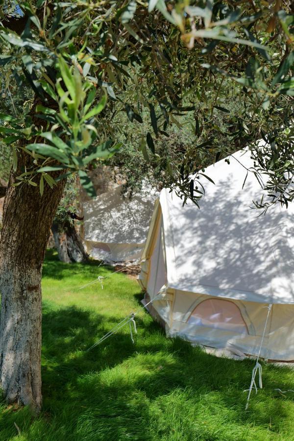 Vila Panorama Piqeras Bed and Breakfast Exterior foto