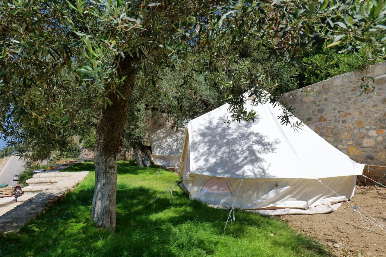 Vila Panorama Piqeras Bed and Breakfast Exterior foto