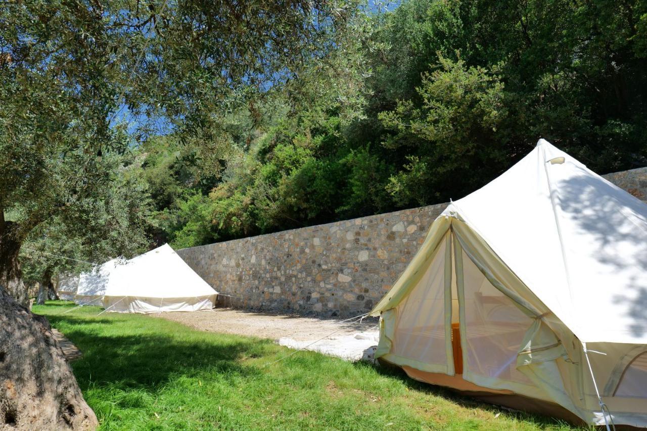 Vila Panorama Piqeras Bed and Breakfast Exterior foto